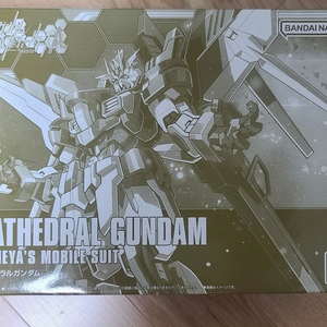 택포 HG 빌드 파이터즈 카테드랄 건담