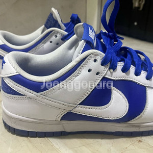 나이키 포스 블루앤화이트 265