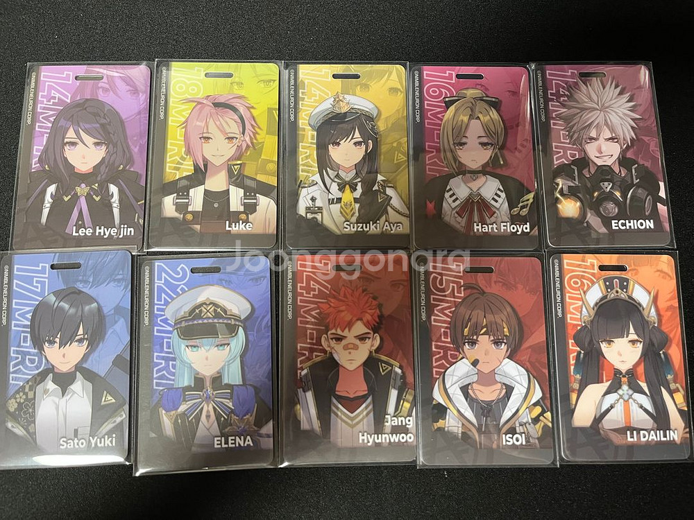 이터널리턴 사관증 10종 일괄 판매--0