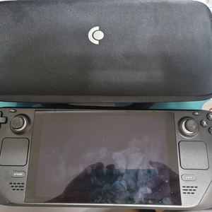 스팀덱 LCD 256 GB 악세사리포함