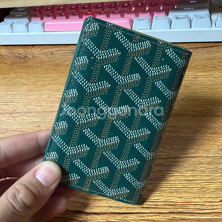 고야드 생피에르 오거나이저--1