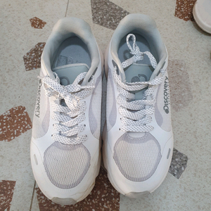 디스커버리 운동화 240 사이즈