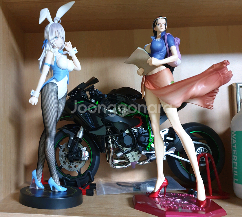 카와사키 오토바이 다이캐스트와 니코로빈과 아랴 피규어--3