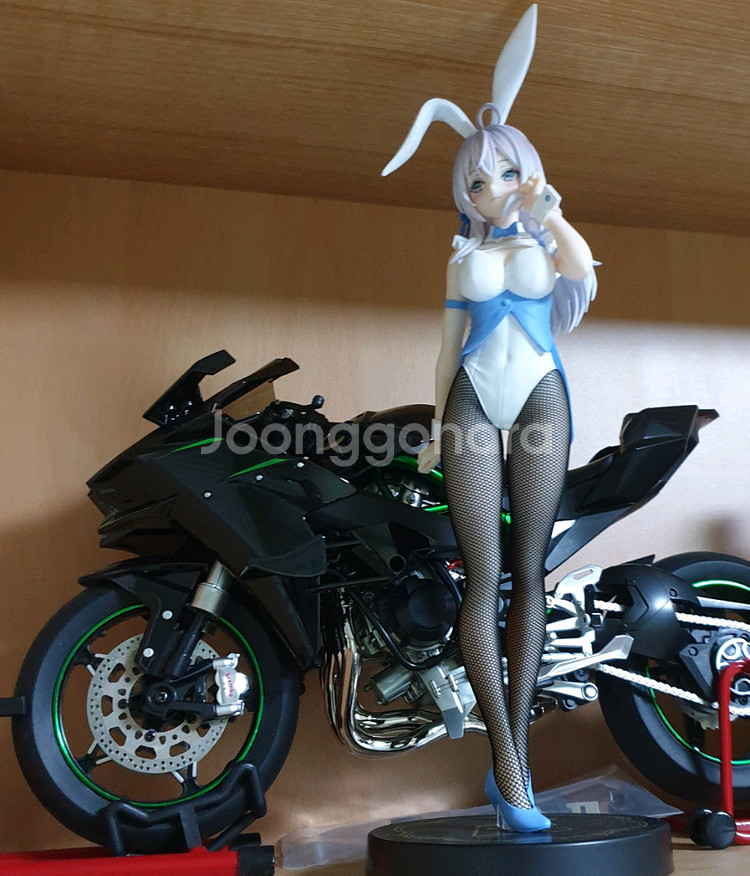 카와사키 오토바이 다이캐스트와 니코로빈과 아랴 피규어--5