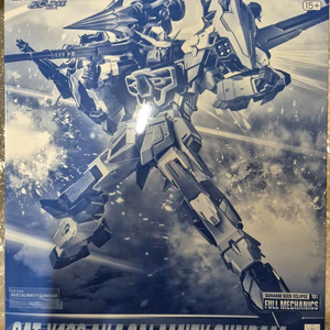 1/100 풀 메카닉스 에일 캘러미티 건담 미개봉