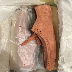 [275]클라스 왈라비 테라코타