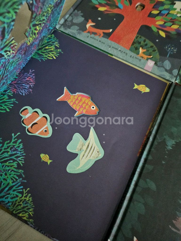 키즈엠 브리타 테큰트럽--4