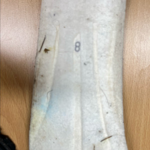 구형 마인들 하말라야 남 270