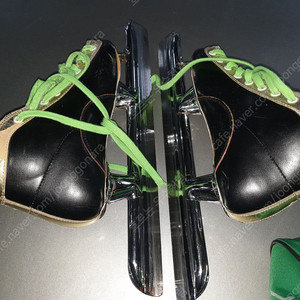 피겨 스케이팅화 210