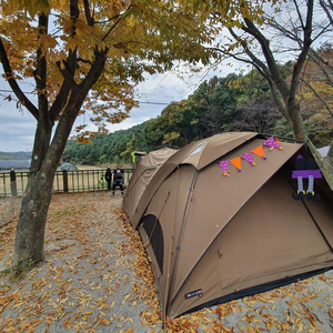 이도공감 안나한 300텐트 특가