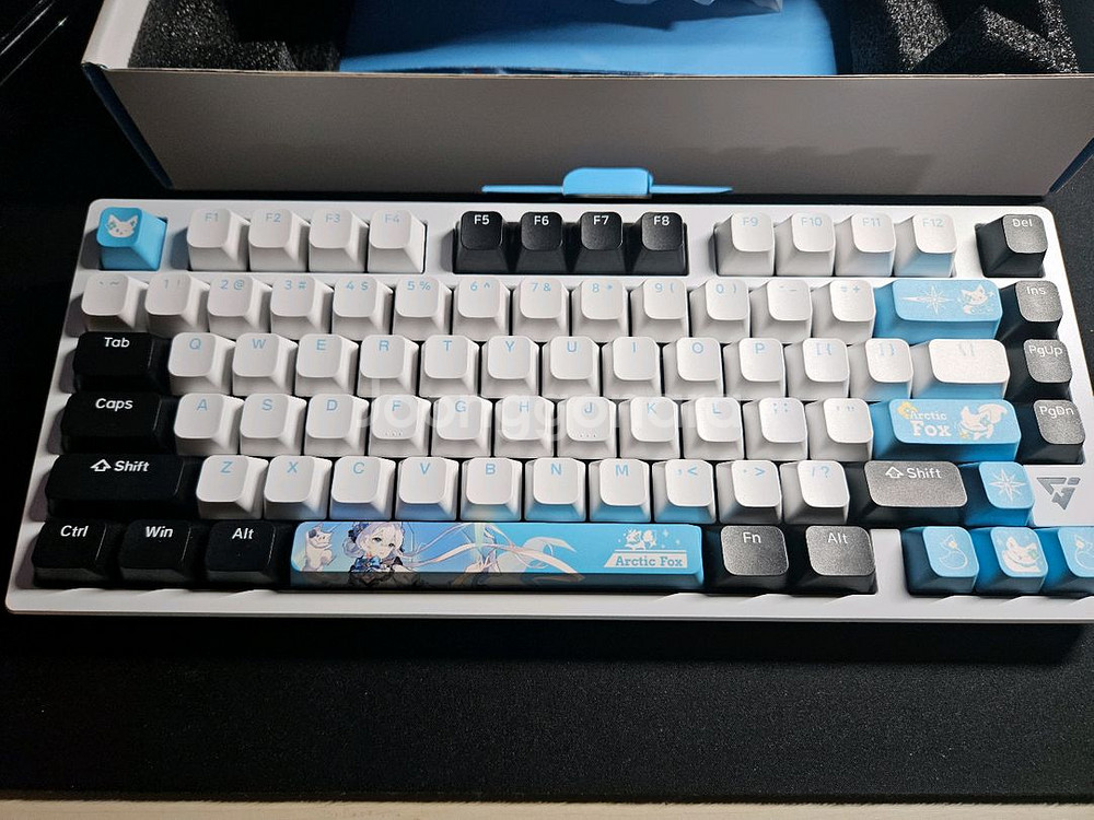 V75x 극지여우--1