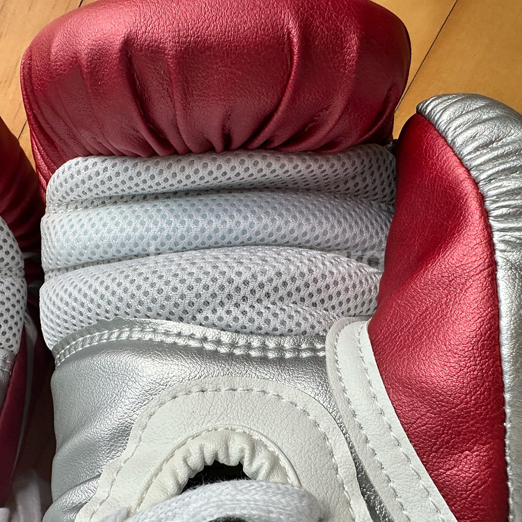 라이벌 rs100 스파링 복싱 글러브 14온스--3