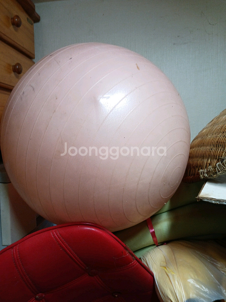 에이스 아동용 보행기, 250내외 골프화,대발,짐볼--9