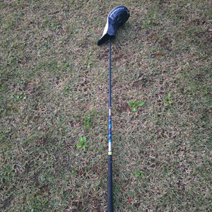 테일러메이드 P790 드라이버