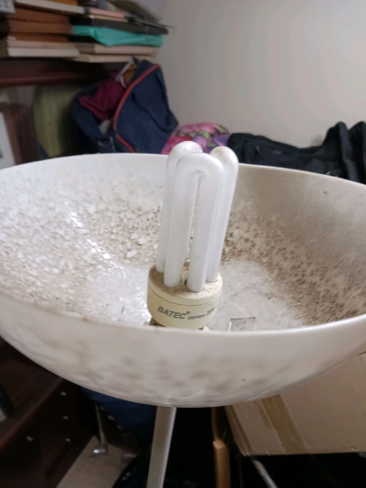 신일 난방기,뺙팩,여행가방,키다리 조명등,옷걸이, 이미지
