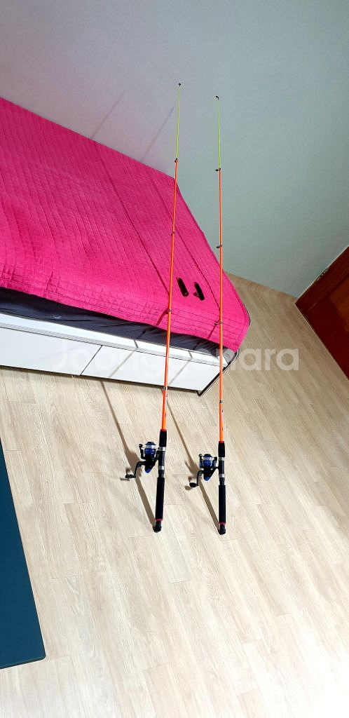 낚시대 2개 바다낚시대 원투낚시대 낚시 민물낚시대--0