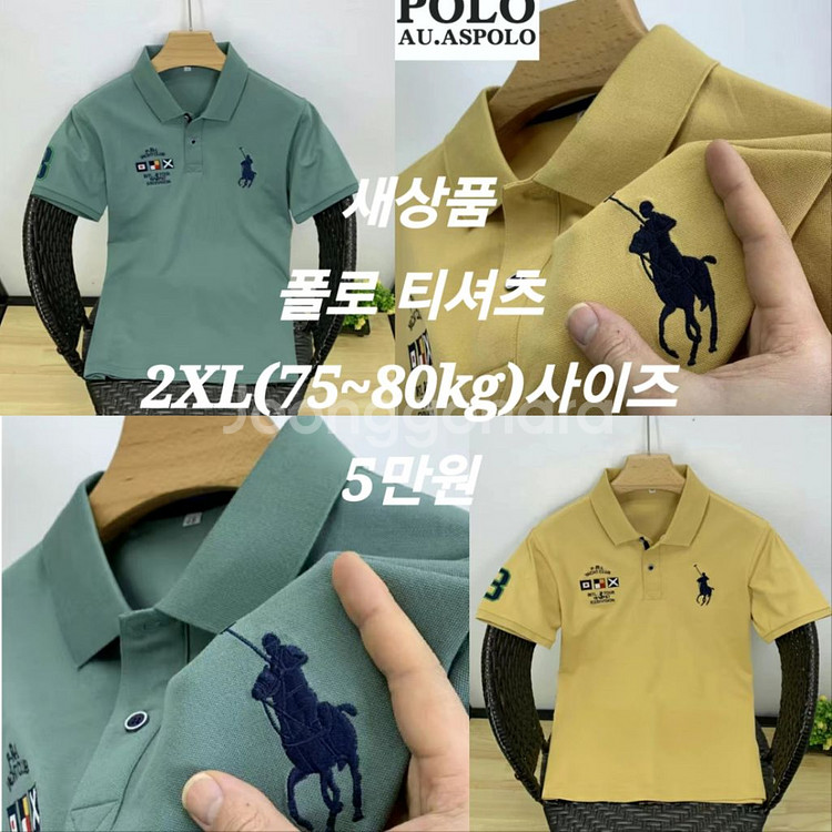 폴로 남성 티셔츠(새상품)--1