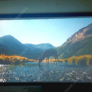 100인치 액자형 스크린