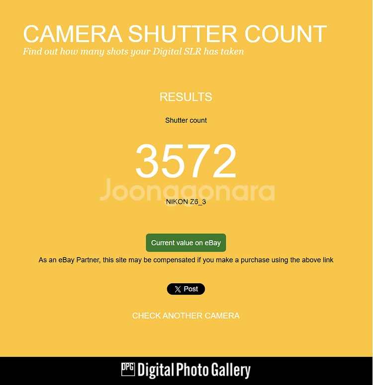 니콘 z6iii 카메라 팝니다 (z6 3)--4