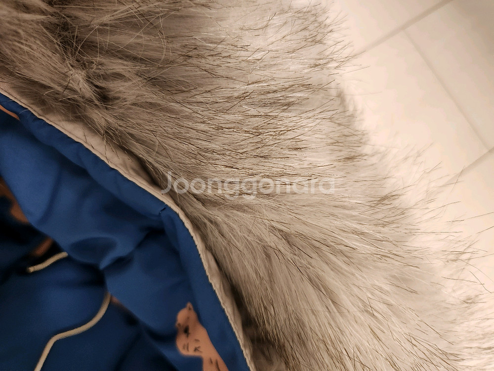 130사이즈 의류일괄 블루독 패딩등--3