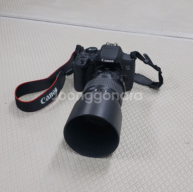 캐논 EOS 750D + 캐논 MACRO LENS EF 100mm 1:2.8--1