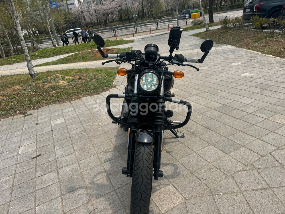 할리데이비슨 스트릿750 15년 짧은키로수 팝니다--1