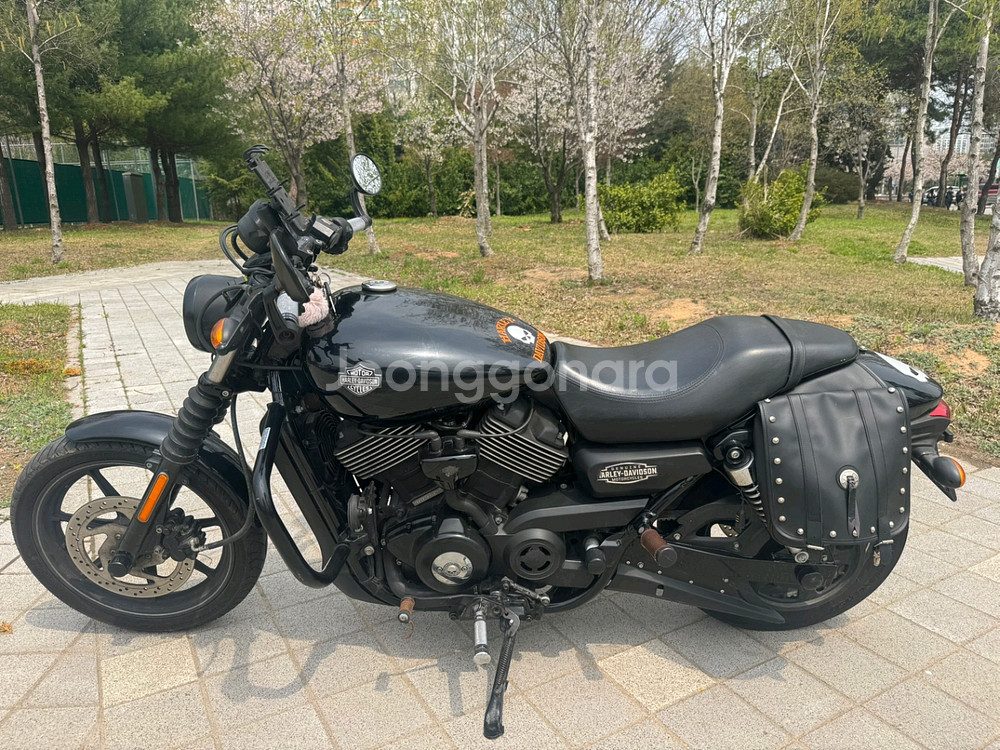 할리데이비슨 스트릿750 15년 짧은키로수 팝니다--5