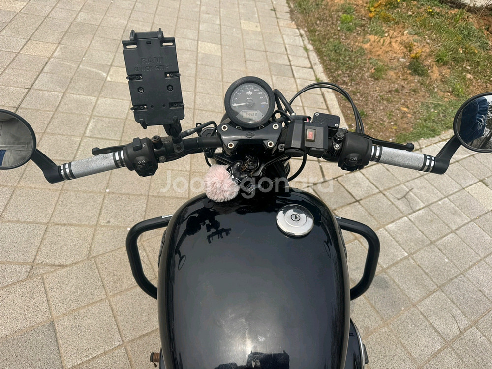 할리데이비슨 스트릿750 15년 짧은키로수 팝니다--9