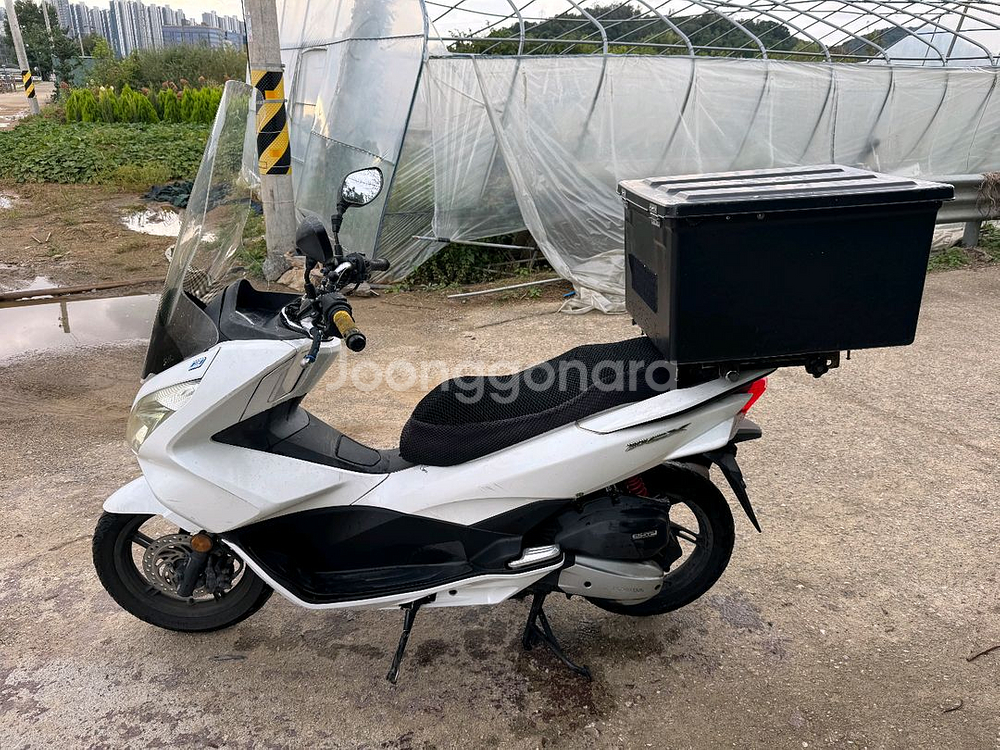 혼다 pcx125 18년 배달풀셋팅 화이트컬러 판매합니다--3