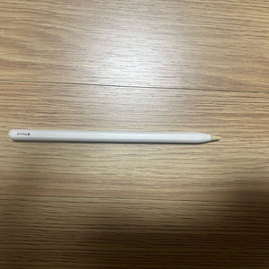 애플펜슬 2세대