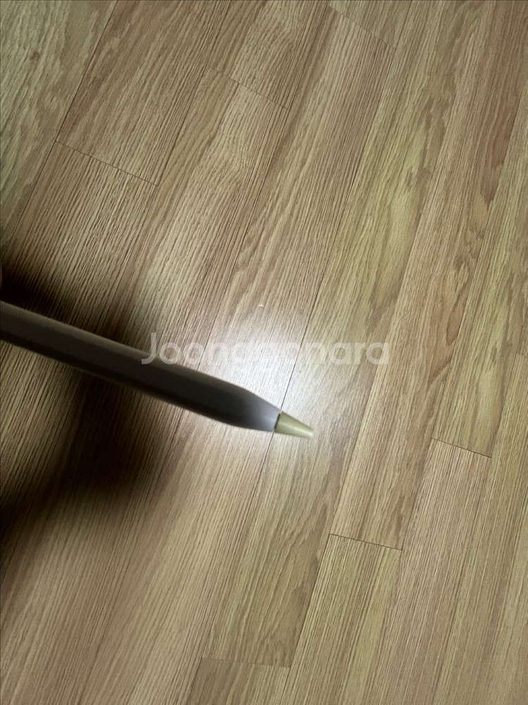 애플펜슬 2세대--1