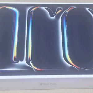 아이패드 프로 13 M5 wifi 512G