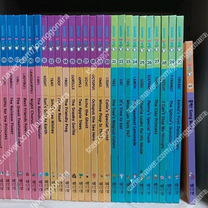 교원 도요새 최신개정판 호기심 큐 영어 전구성