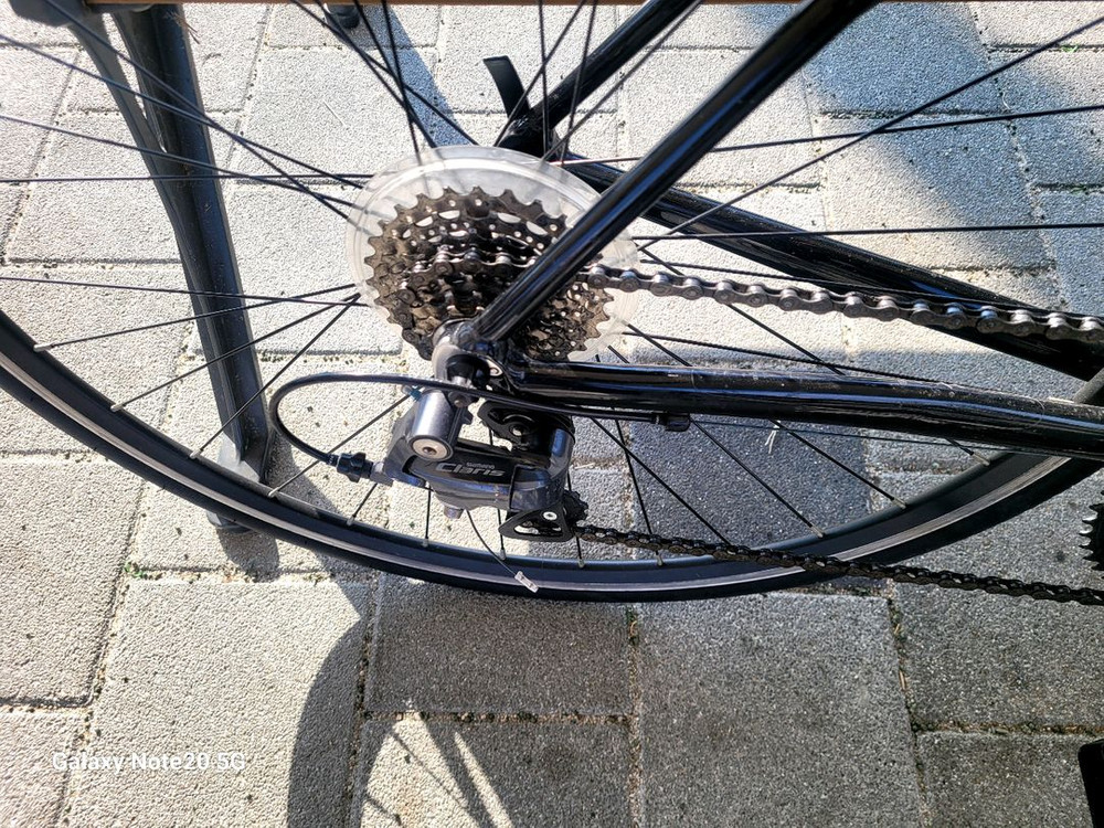 Cello 로드자전거 팝니다--1