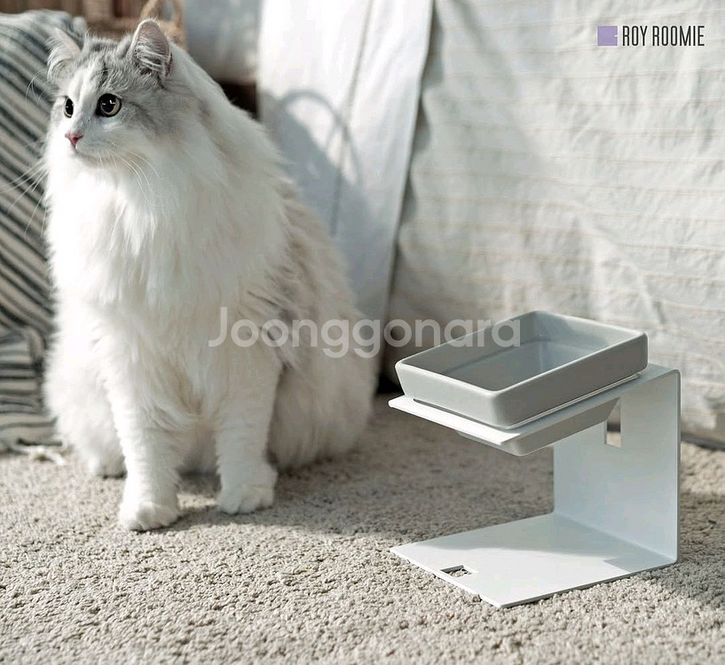 로이루미 도자기 세라믹 사각식기 1구(그레이)+철제 스틸 테이블--0