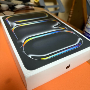 아이패드 프로 11인치 M4 256GB