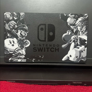 닌텐도 스위치1 대난투 독