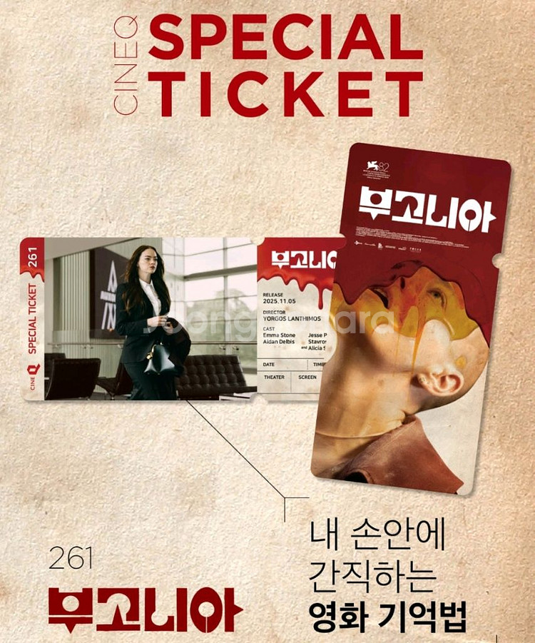 부고니아 스페셜 티켓--0