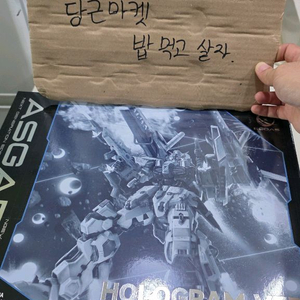 에다스 아스가르드 홀로그램 급처