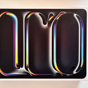 아이패드 프로 13 m5 실버 256기가