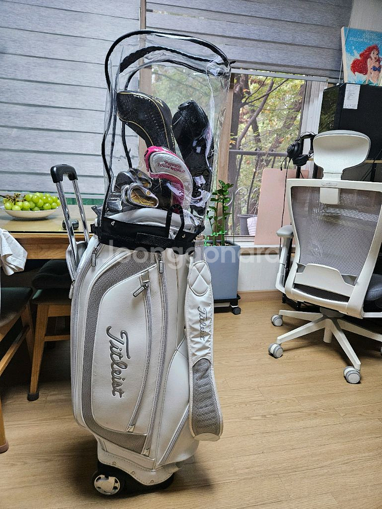 여성용 혼마 카타나 스타돔 고반발풀세트--9