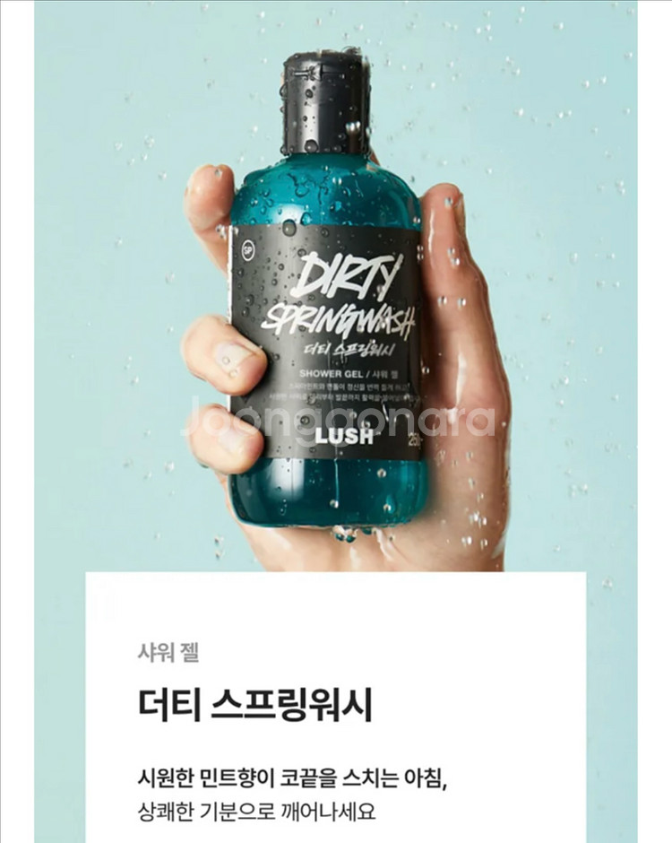 러쉬 lush 입욕제 바디워시 기프트 세트(사쿠라 + 더티) 새상품--1