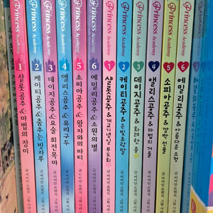 프리세스 아카데미 가격내림