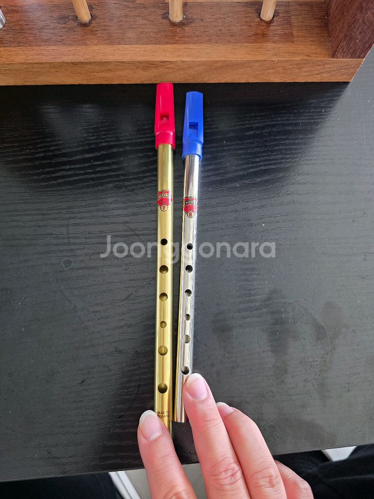 제너레이션 틴휘슬 F키(황동) G키(니켈) 판매 (아이리쉬휘슬)--0