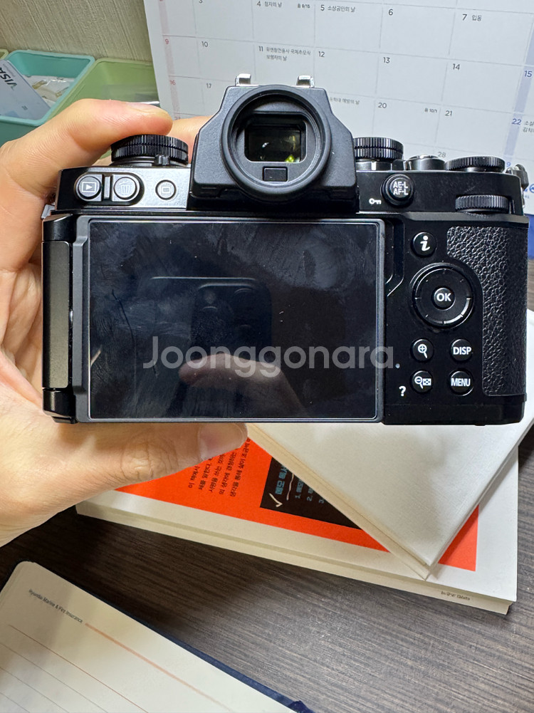 니콘 Zfc 16-50 키트 800컷--5