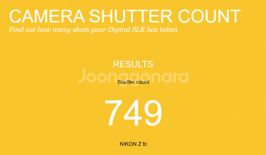 니콘 Zfc 16-50 키트 800컷--7