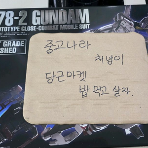 PG 언리쉬드 퍼건 급처(택포)