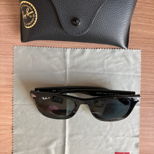 레이벤 선글라스 RB4391D