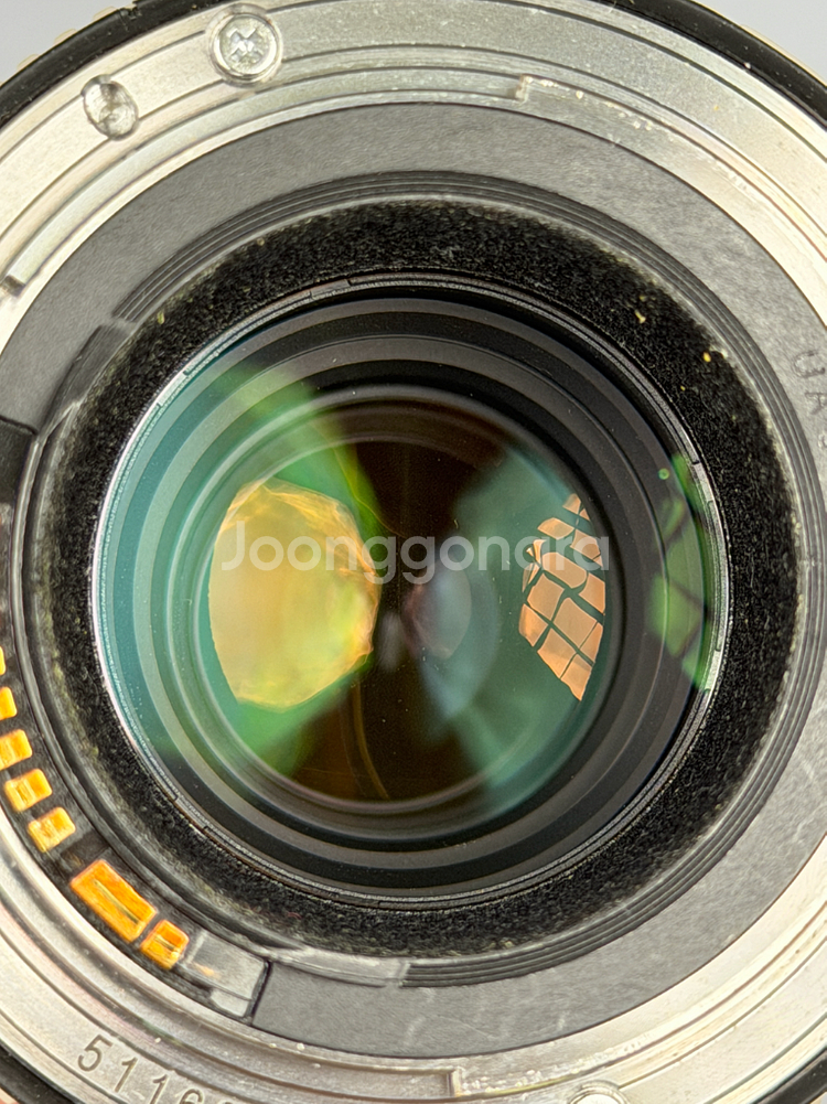 캐논 EF 70-200mm F4L IS USM 렌즈, 형아백통--2