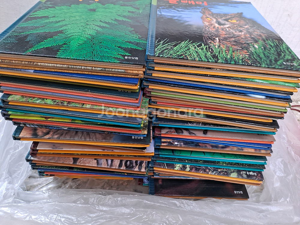 웅진 푸른아이 자연을 보는 새로운 눈 책 전집 60권 상태A급 내고가능--0